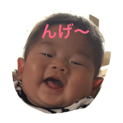 [LINEスタンプ] こーたんスタンプ！