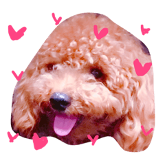[LINEスタンプ] ころ