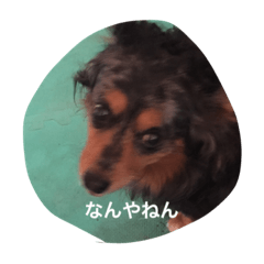 [LINEスタンプ] ポポとムー