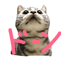[LINEスタンプ] ひじきのきもち