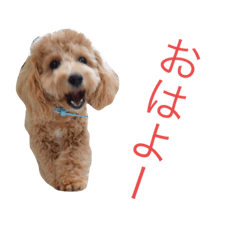 [LINEスタンプ] クロエ