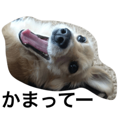 [LINEスタンプ] なつ 日常