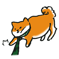 [LINEスタンプ] 柴 犬 ！