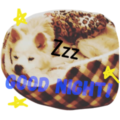 [LINEスタンプ] ジョンさまの毎日