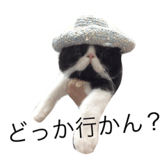 [LINEスタンプ] ぶんちゃんです