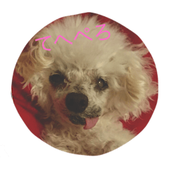 [LINEスタンプ] 愛犬レディ2