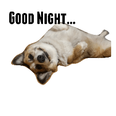 [LINEスタンプ] 眉毛コーギーもなか