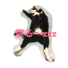 [LINEスタンプ] たびちゃん
