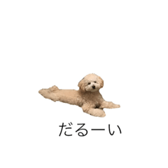 [LINEスタンプ] アポ