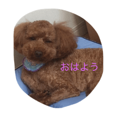 [LINEスタンプ] ラブ.わんちゃん
