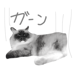 [LINEスタンプ] あろとはな。