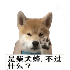[LINEスタンプ] Shiba Inu is, Tweet when you are young 2