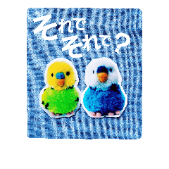 [LINEスタンプ] ぽんぽんインコさん
