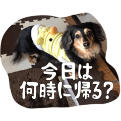[LINEスタンプ] ハナちゃんとイルくん