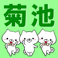 [LINEスタンプ] 超★菊池(きくいけ・キクイケ)なイヌの画像（メイン）