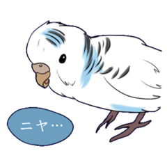 [LINEスタンプ] 白いセキセイインコ2