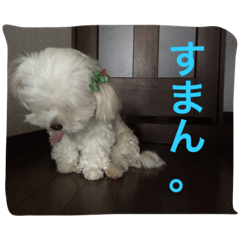 [LINEスタンプ] べんぺこ2