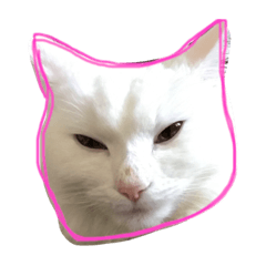[LINEスタンプ] mokewaneko
