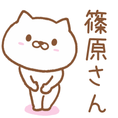 [LINEスタンプ] 篠原(しのはら)さんが使うネコ