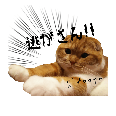 [LINEスタンプ] はるまる