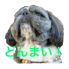 [LINEスタンプ] リュウ＆レン 