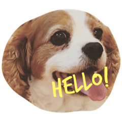 [LINEスタンプ] 可愛い我が子たち。 
