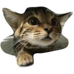 [LINEスタンプ] ムニ 