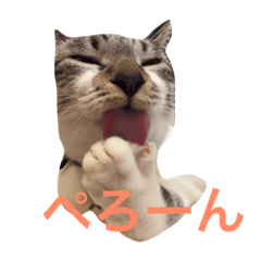 [LINEスタンプ] セブンといっしょ