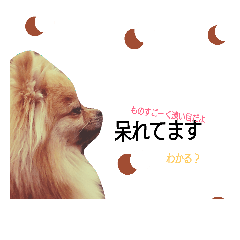 [LINEスタンプ] ぽめスタンプ2