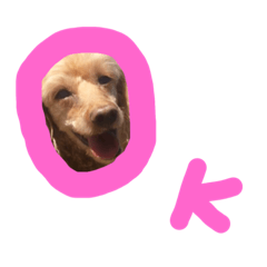 [LINEスタンプ] 愛犬プリン