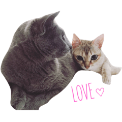 [LINEスタンプ] nohea＆lua 
