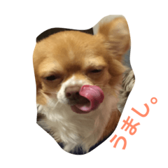 [LINEスタンプ] LEO-1 