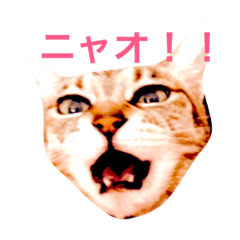 [LINEスタンプ] 私の独り言。