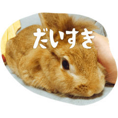 [LINEスタンプ] うさぎのむぎちゃん
