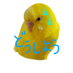 [LINEスタンプ] やんきゅうちゃんの1日