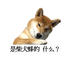 [LINEスタンプ] Shiba Inu is Let me also speak！ 2