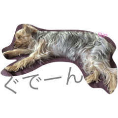 [LINEスタンプ] 凛ちゃんの日常