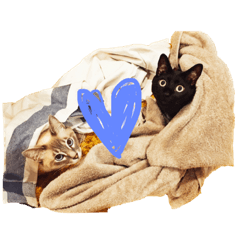 [LINEスタンプ] 月と雪1 fetchpriority=high