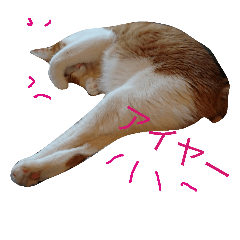 [LINEスタンプ] マーコロと愉快な仲間達スタンプ第二弾