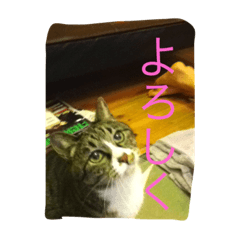 [LINEスタンプ] さんごのスタンプ2ฅ^•ﻌ•^ฅ