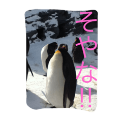 [LINEスタンプ] 大阪弁の動物たち