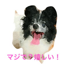 [LINEスタンプ] かわいい“のえる”