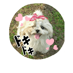 [LINEスタンプ] アリのスタンプ2