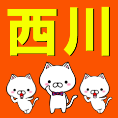 [LINEスタンプ] 超★西川(にしかわ・ニシカワ)なネコ