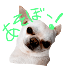 [LINEスタンプ] あんにん2