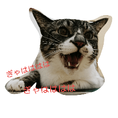 [LINEスタンプ] ぼくの名前はトキです。