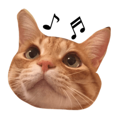 [LINEスタンプ] ちろちゃん