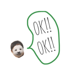 [LINEスタンプ] サイダー スタンプ 2