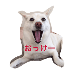 [LINEスタンプ] カレンの愉快な一日 ver.3