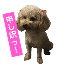 [LINEスタンプ] ベティの日常